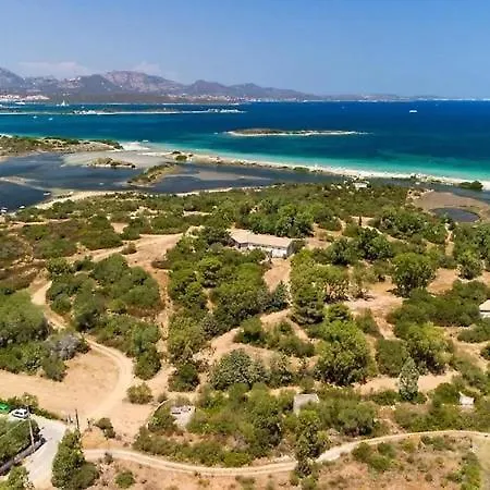 Myrsine Murta Maria